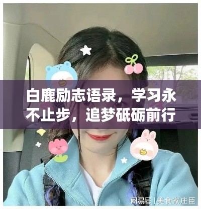 白鹿励志语录,学习永不止步,追梦砥砺前行