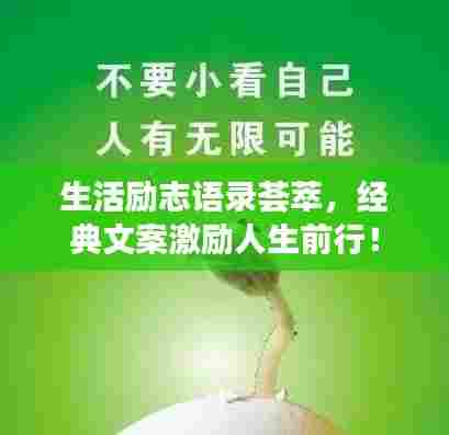 生活励志语录荟萃,经典文案激励人生前行!