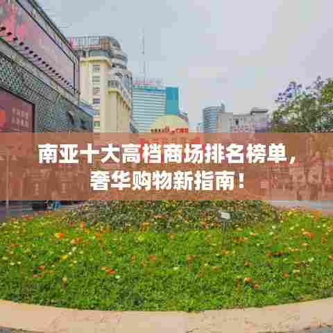 展翅高飞 第3页