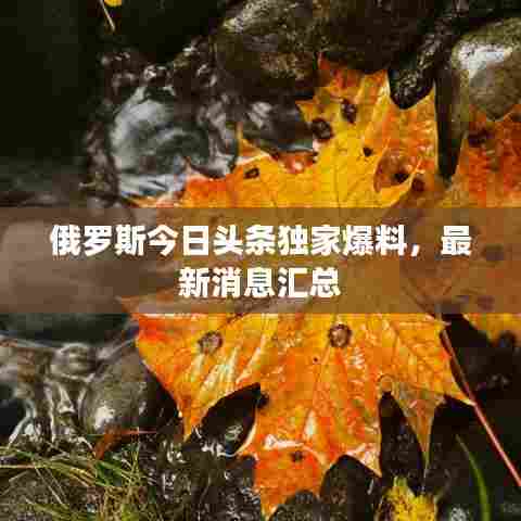 俄罗斯今日头条独家爆料，最新消息汇总