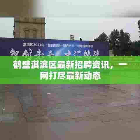 鹤壁淇滨区最新招聘资讯,一网打尽最新动态