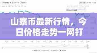 山寨币最新行情,今日价格走势一网打尽