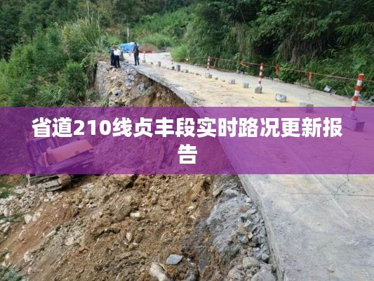 省道210线贞丰段实时路况更新报告