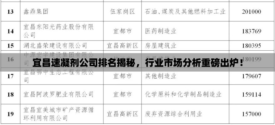 宜昌速凝剂公司排名揭秘,行业市场分析重磅出炉!