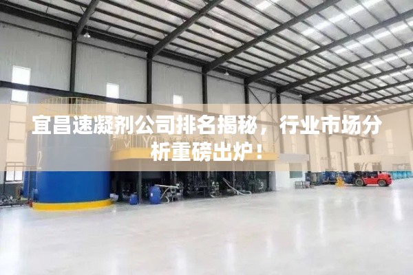 宜昌速凝剂公司排名揭秘,行业市场分析重磅出炉!