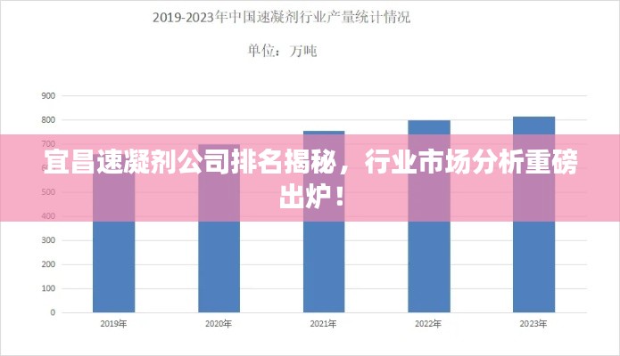 宜昌速凝剂公司排名揭秘,行业市场分析重磅出炉!