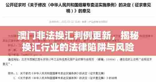 澳门非法换汇判例更新,揭秘换汇行业的法律陷阱与风险
