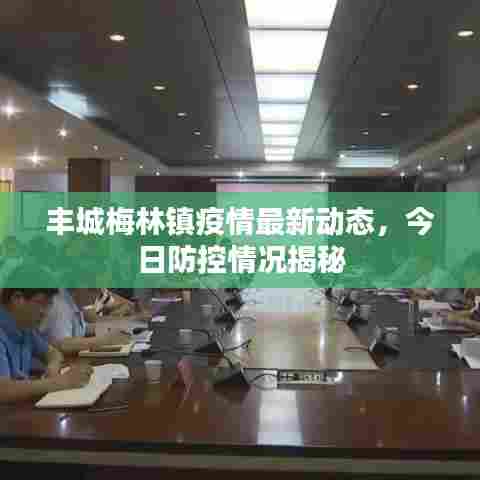 丰城梅林镇疫情最新动态，今日防控情况揭秘