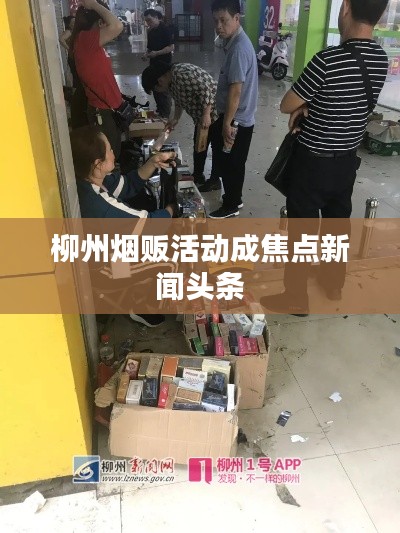 柳州烟贩活动成焦点新闻头条