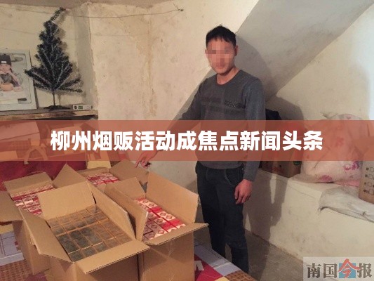 柳州烟贩活动成焦点新闻头条