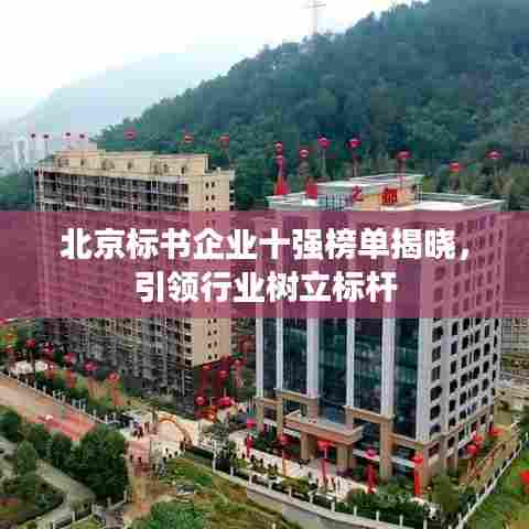 北京标书企业十强榜单揭晓,引领行业树立标杆
