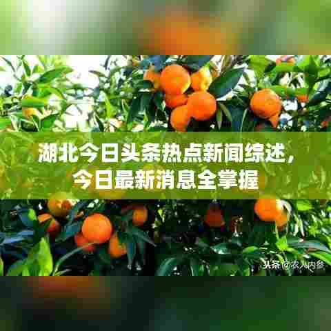 湖北今日头条热点新闻综述,今日最新消息全掌握