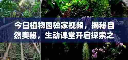 今日植物园独家视频,揭秘自然奥秘,生动课堂开启探索之旅