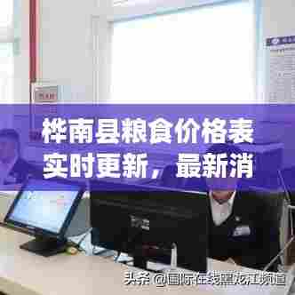桦南县粮食价格表实时更新,最新消息一览