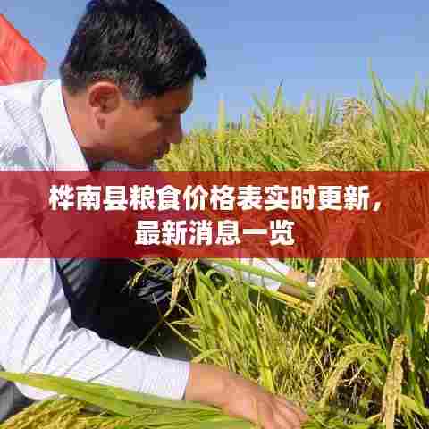 桦南县粮食价格表实时更新,最新消息一览