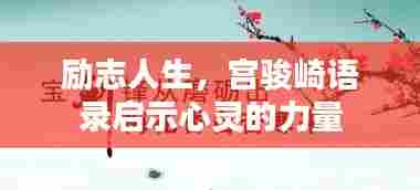 励志人生,宫骏崎语录启示心灵的力量