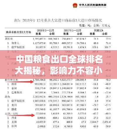 中国粮食出口全球排名大揭秘,影响力不容小觑!