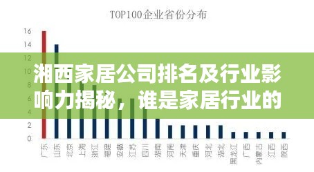 湘西家居公司排名及行业影响力揭秘,谁是家居行业的佼佼者?