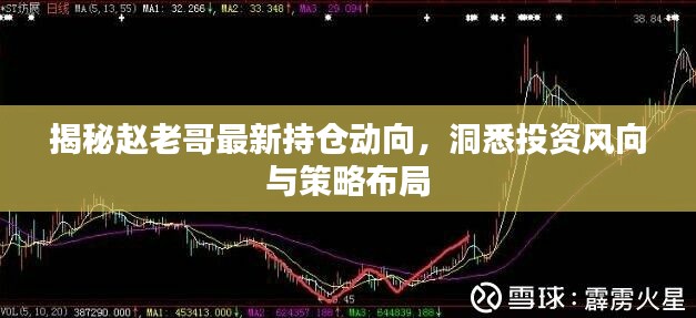 揭秘赵老哥最新持仓动向，洞悉投资风向与策略布局