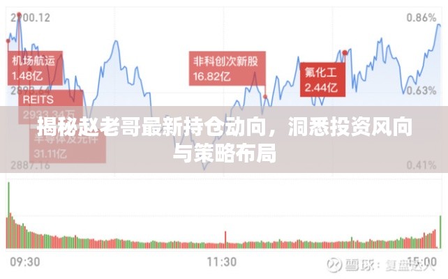 揭秘赵老哥最新持仓动向,洞悉投资风向与策略布局