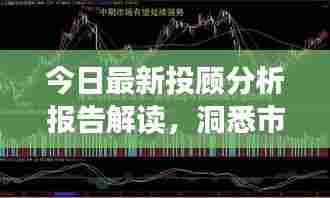 今日最新投顾分析报告解读，洞悉市场动态，把握投资机会