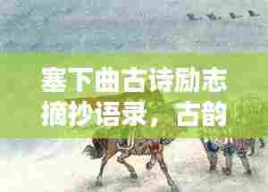 塞下曲古诗励志摘抄语录，古韵中的豪情壮志