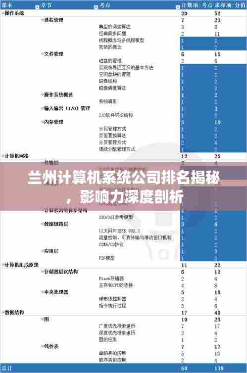 兰州计算机系统公司排名揭秘,影响力深度剖析