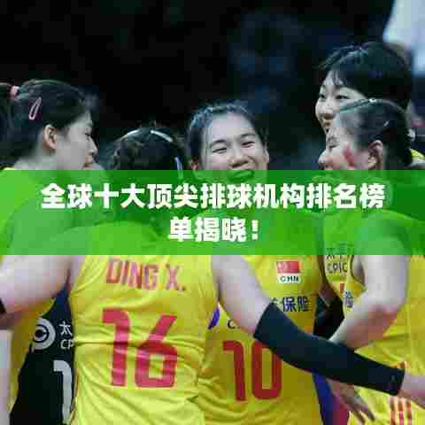 全球十大顶尖排球机构排名榜单揭晓!