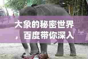 对答如流 第3页