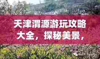 天津渭源游玩攻略大全，探秘美景，尽享独特风情！