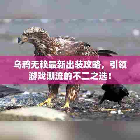 乌鸦无赖最新出装攻略，引领游戏潮流的不二之选！
