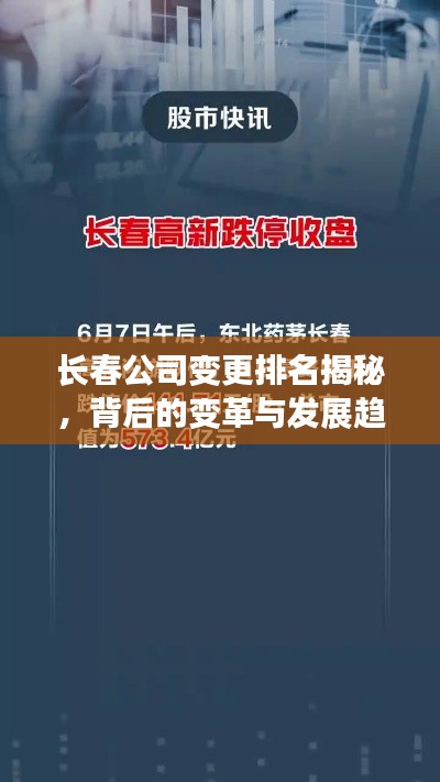 长春公司变更排名揭秘,背后的变革与发展趋势观察