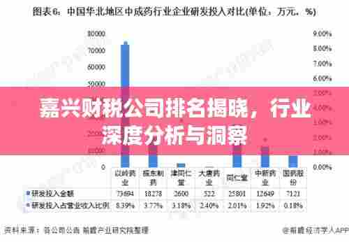嘉兴财税公司排名揭晓,行业深度分析与洞察