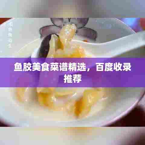 鱼胶美食菜谱精选,百度收录推荐
