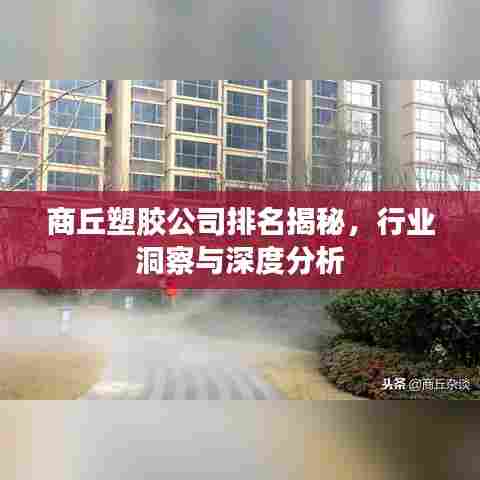 商丘塑胶公司排名揭秘,行业洞察与深度分析
