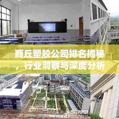 商丘塑胶公司排名揭秘,行业洞察与深度分析