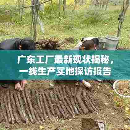 广东工厂最新现状揭秘，一线生产实地探访报告