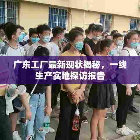 广东工厂最新现状揭秘,一线生产实地探访报告