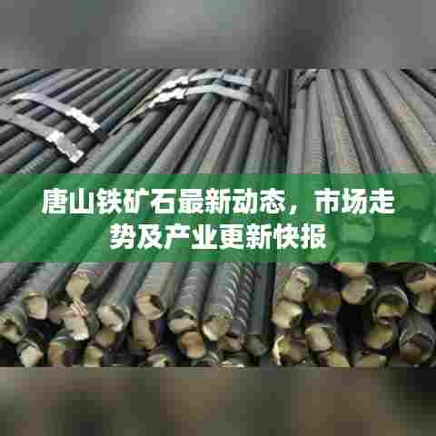 唐山铁矿石最新动态,市场走势及产业更新快报