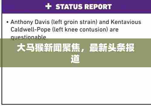 大马猴新闻聚焦,最新头条报道