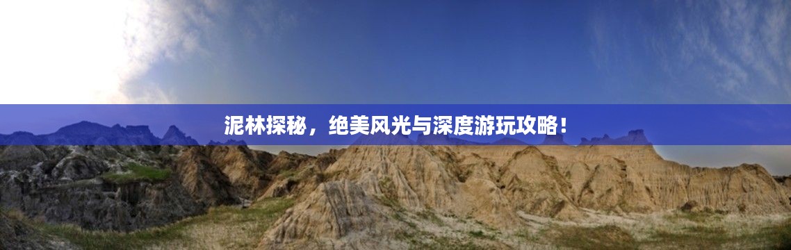 难得可贵 第3页