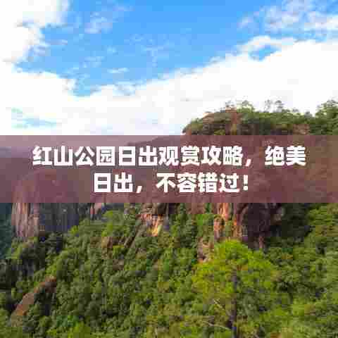 红山公园日出观赏攻略,绝美日出,不容错过!