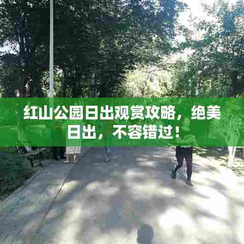 红山公园日出观赏攻略,绝美日出,不容错过!