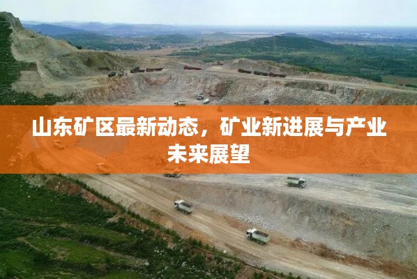 山东矿区最新动态,矿业新进展与产业未来展望