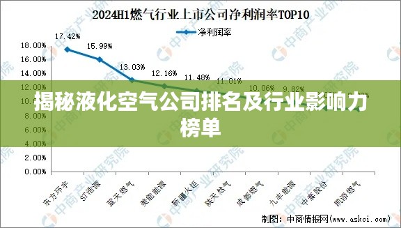 揭秘液化空气公司排名及行业影响力榜单