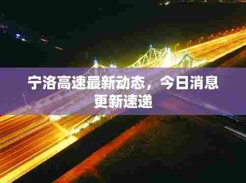 宁洛高速最新动态，今日消息更新速递