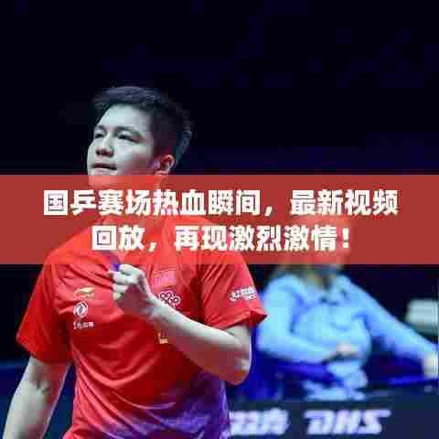 国乒赛场热血瞬间,最新视频回放,再现激烈激情!