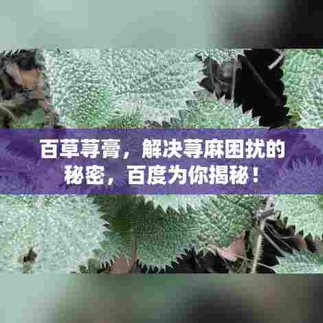 百草荨膏,解决荨麻困扰的秘密,百度为你揭秘!