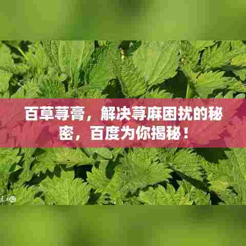 百草荨膏,解决荨麻困扰的秘密,百度为你揭秘!