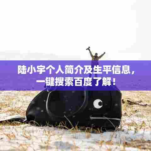 陆小宇个人简介及生平信息,一键搜索百度了解!